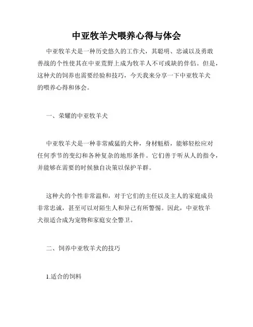 中亚牧羊犬喂养心得与体会