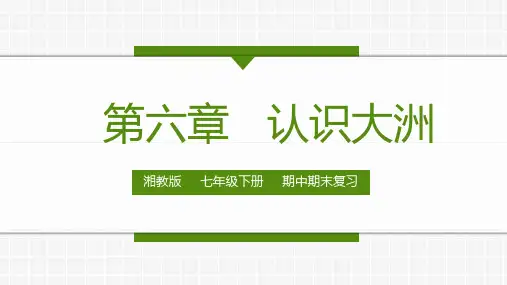 第六章 认识大洲(复习课件)-2022-2023学年七年级地理下学期期中期末考点大串讲(湘教版)