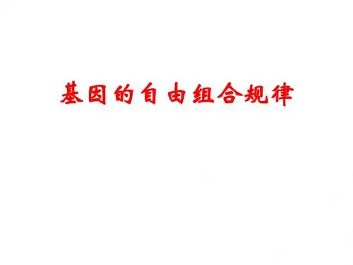 生物：基因的自由组合定律课件