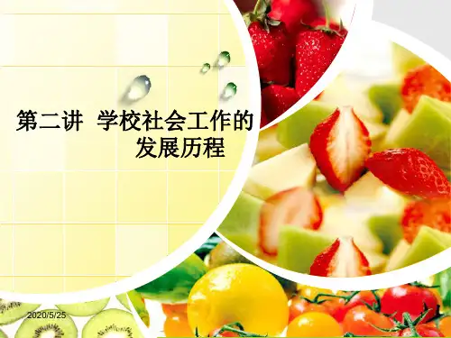 学校社会工作的发展历程.概要