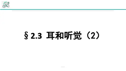 浙教版科学七年级下册全书新课课件---2.3耳和听觉第2课时