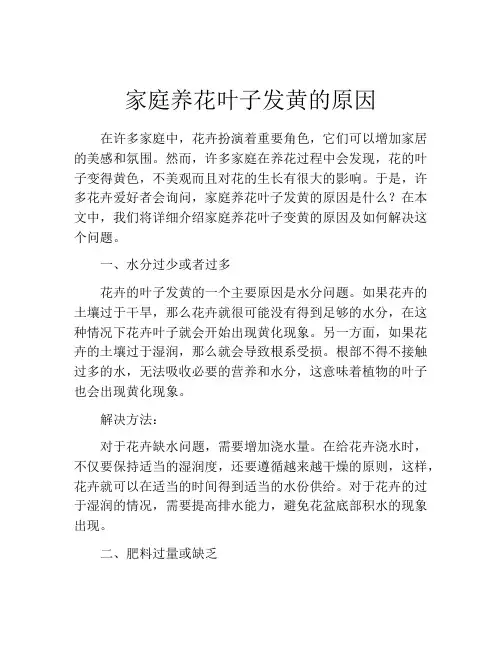 家庭养花叶子发黄的原因
