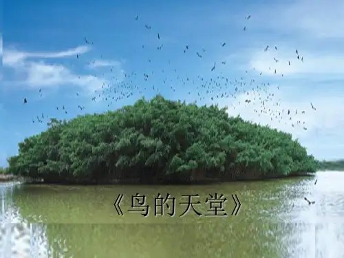 (精选)四年级语文上册 第1单元 3.鸟的天堂课件1 新人教版