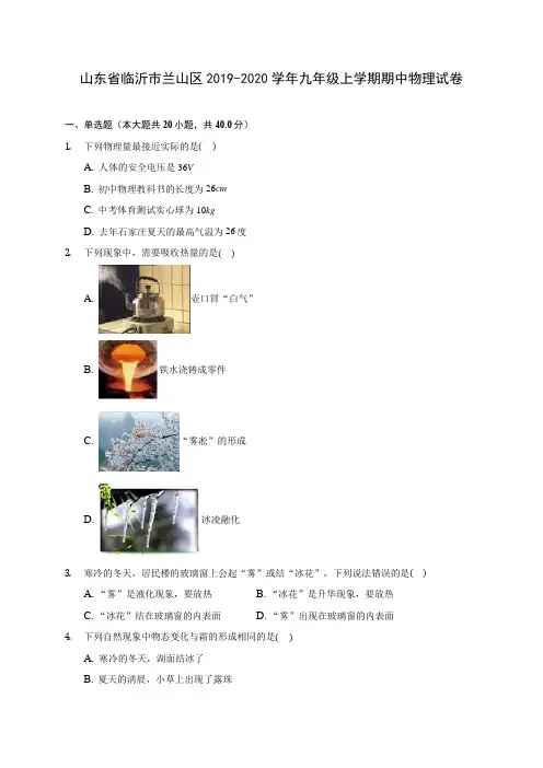山东省临沂市兰山区2019-2020学年九年级上学期期中物理试卷 (有解析)