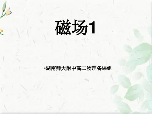 高二物理磁场教案ppt