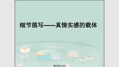 细节描写——真情实PPT课件