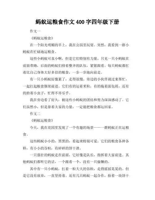 蚂蚁运粮食作文400字四年级下册