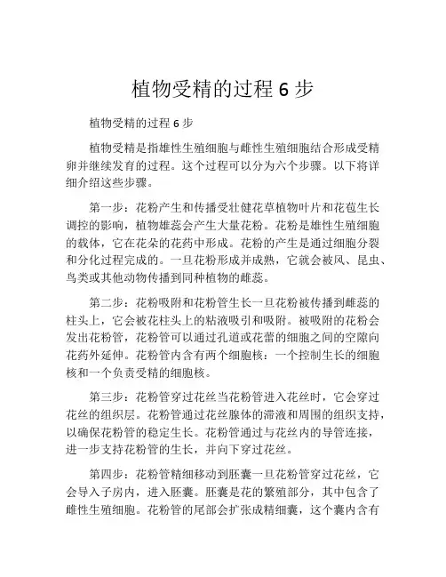 植物受精的过程6步