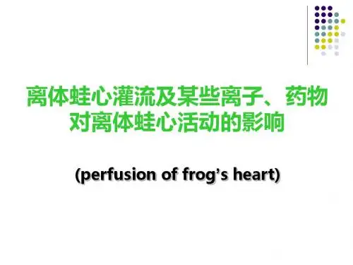 离体蛙心灌流及某些离子-PPT精品文档