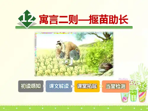 《揠苗助长》PPT优秀课件