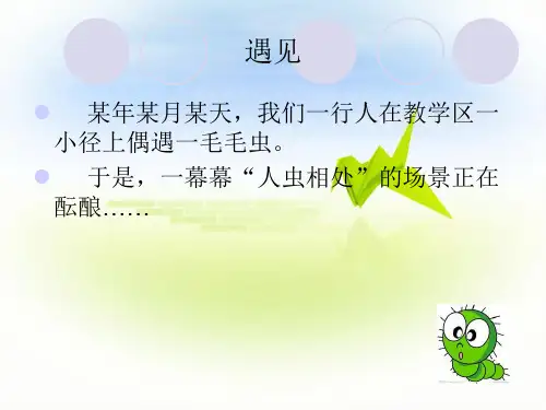 小组成员风采展示.ppt