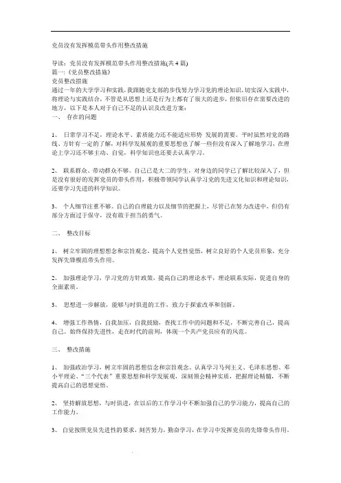 党员没有发挥模范带头作用整改措施