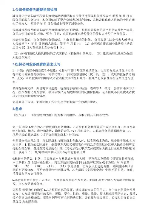融资担保公司担保情况说明范文