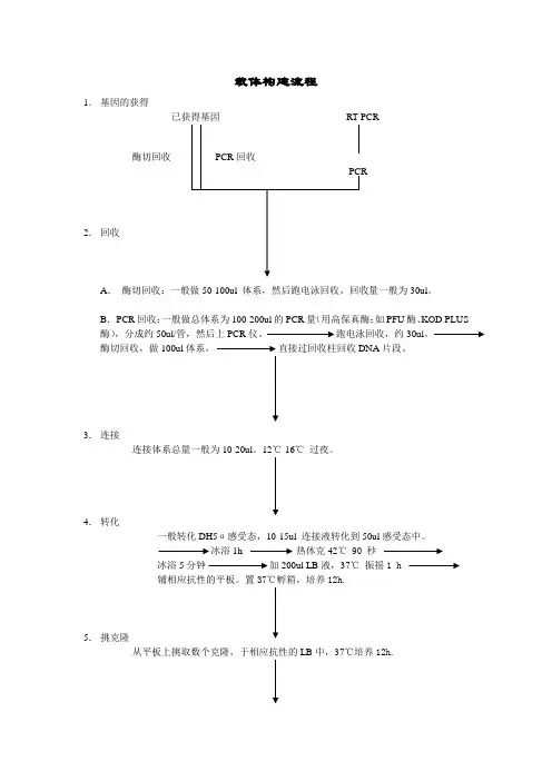 构建载体基本步骤