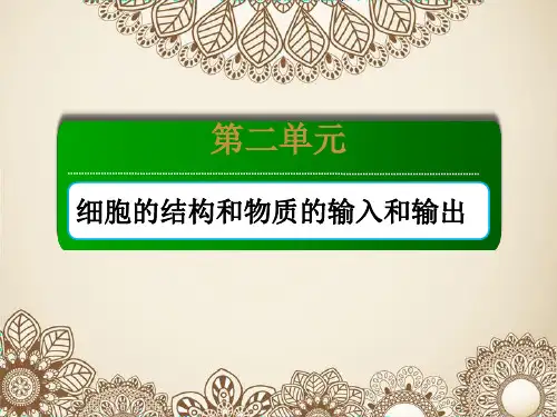 新高考生物一轮复习课件第6讲细胞器与生物膜系统