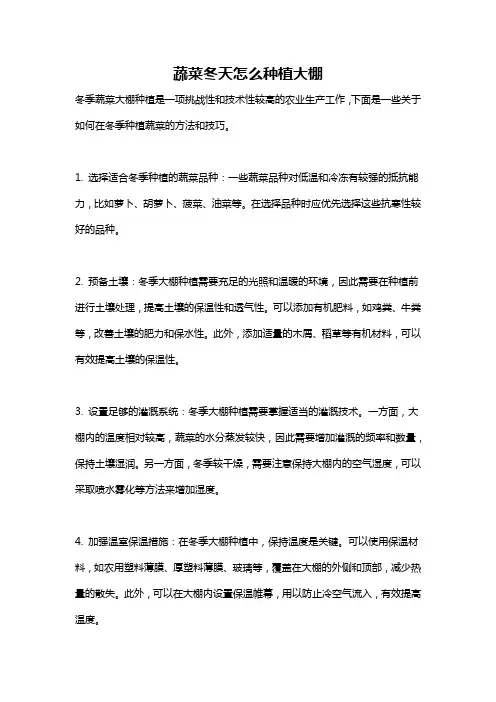 蔬菜冬天怎么种植大棚