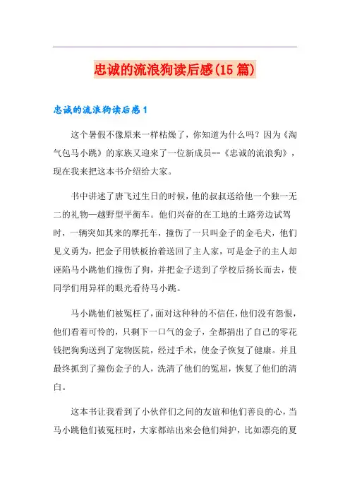 忠诚的流浪狗读后感(15篇)