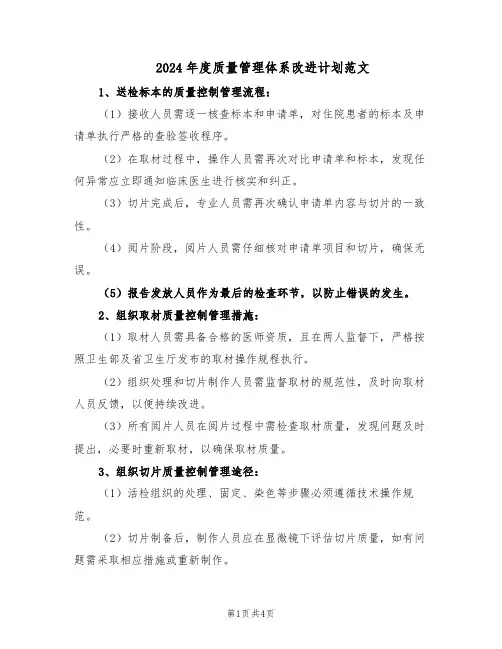 2024年度质量管理体系改进计划范文（二篇）