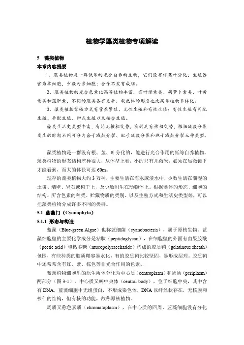 植物学藻类植物专项解读