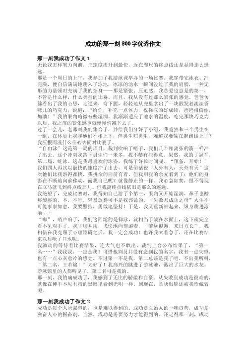 成功的那一刻300字优秀作文