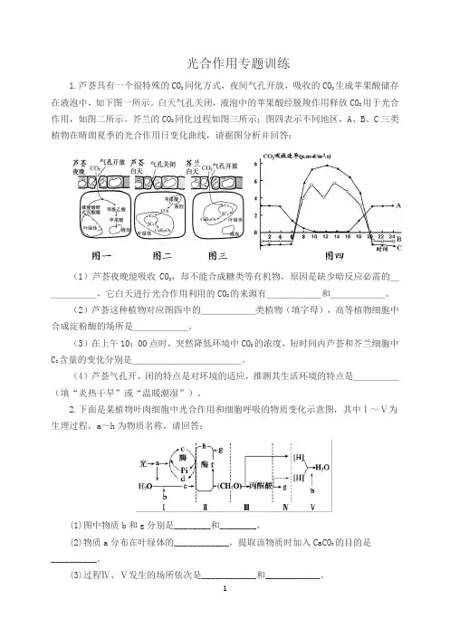 光合作用大题突破训练附答案