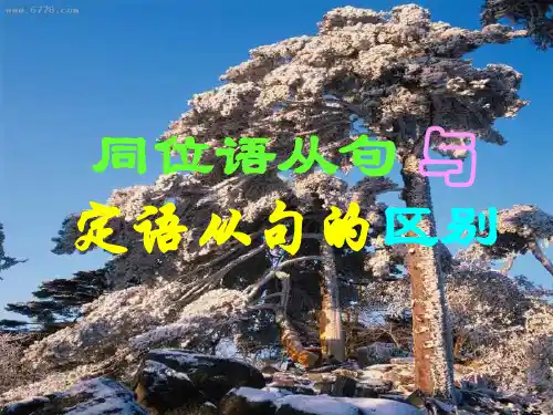同位语从句和定语从句的区别PPT课件