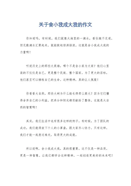 关于舍小我成大我的作文