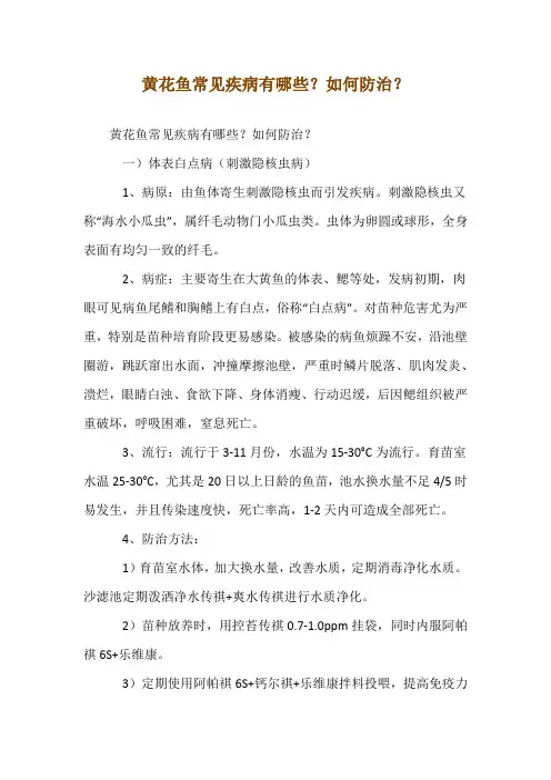 黄花鱼常见疾病有哪些？如何防治？