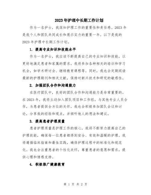 2023年护理中长期工作计划