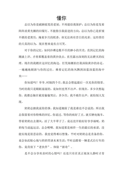 安阳市中考满分作文-懂你