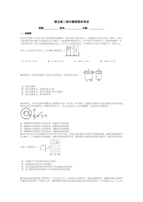 湖北高二高中物理期末考试带答案解析

