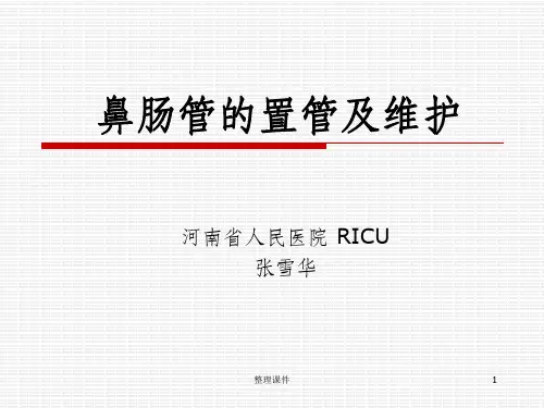 《鼻肠管的护理》