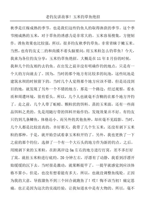 老钓友讲故事玉米钓草鱼绝招