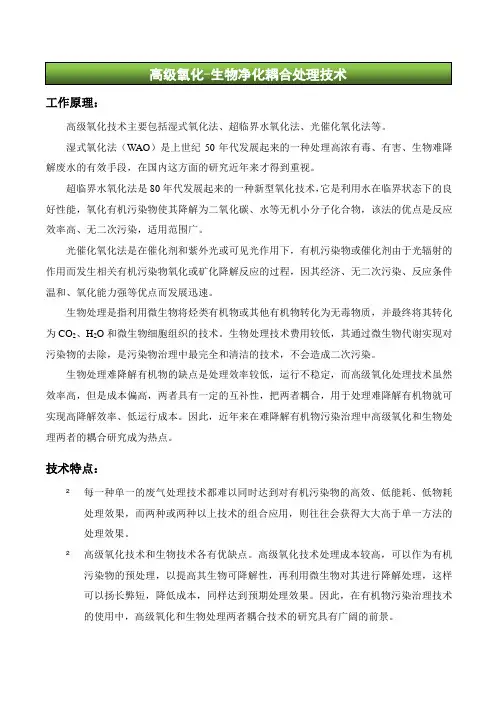 高级氧化-生物净化耦合处理技术