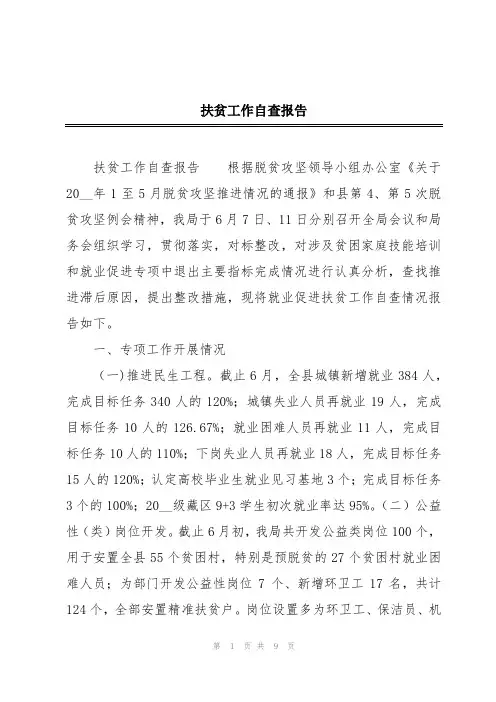 扶贫工作自查报告