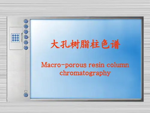 大孔树脂柱色谱