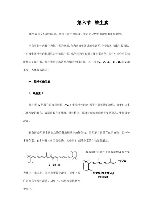 第六节  维生素