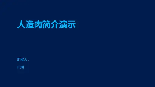 人造肉简介演示
