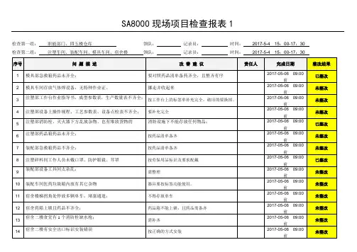 SA8000现场项目检查报表1