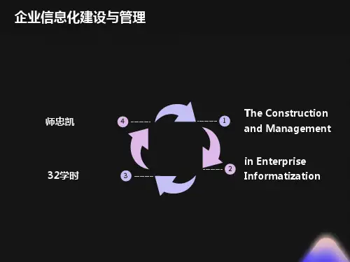 企业信息化概论