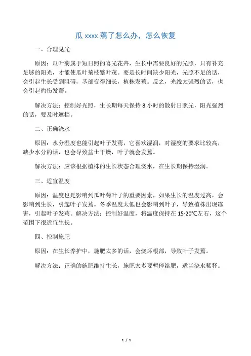 瓜叶菊叶子蔫了怎么办,怎么恢复