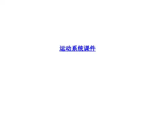运动系统课件 PPT课件