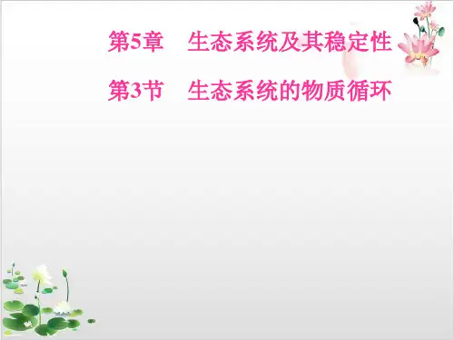 人教版高中生物必修生态系统的物质循环-ppt精品课件