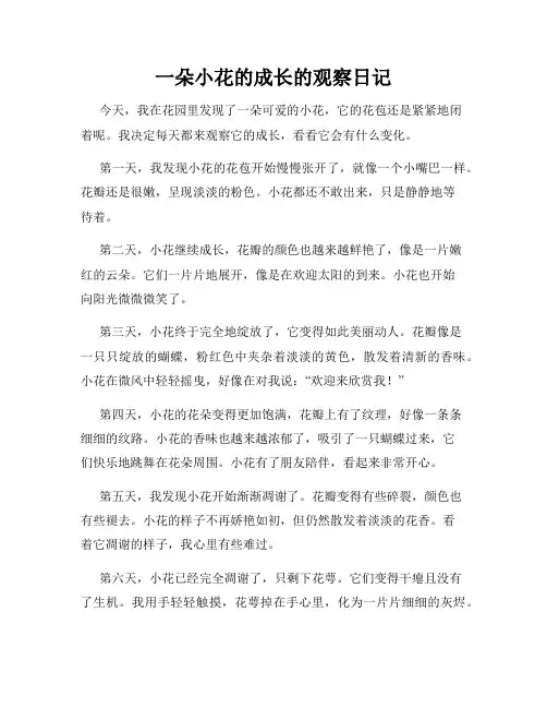 小学三年级作文一朵小花的成长的观察日记