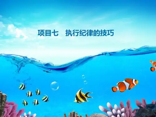 项目七执行纪律  项目八督导的核心技术概述