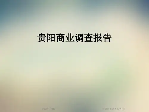 贵阳商业调查报告[1]