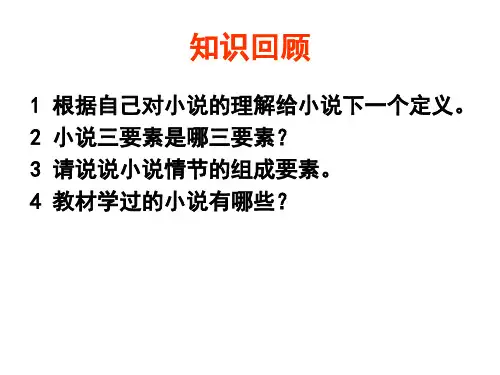 小说情节概括