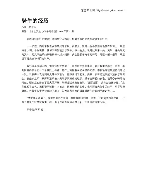 骑牛的经历