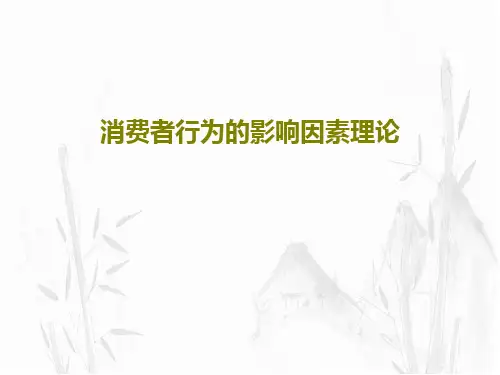 消费者行为的影响因素理论55页PPT