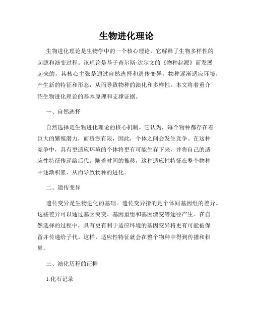 生物进化理论